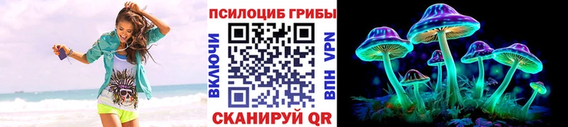 mega как зайти  наркотики  Лосино-Петровский  Галлюциногенные грибы Psilocybe 